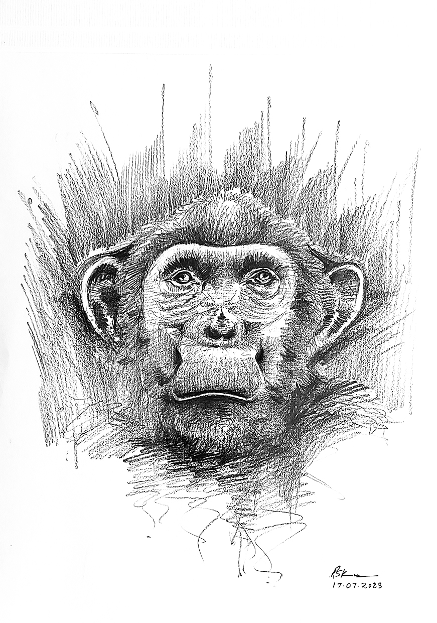 women portrait Chimpanjee portrait