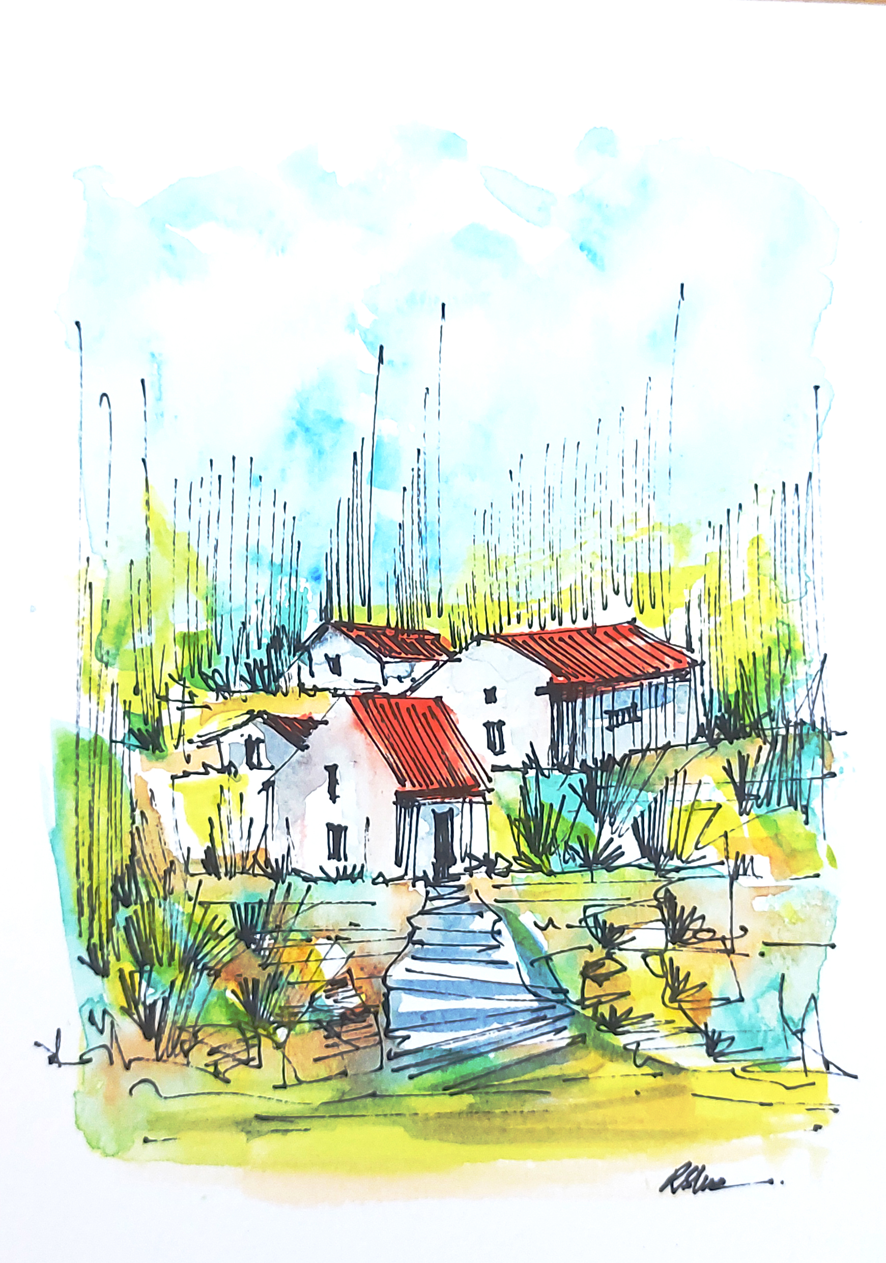 Landscape Landscape
